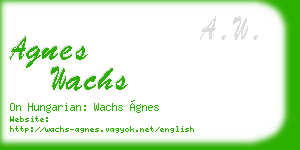 agnes wachs business card